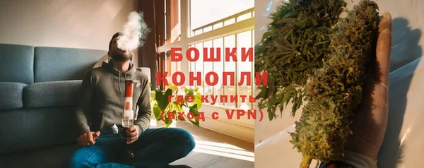 ГАЛЛЮЦИНОГЕННЫЕ ГРИБЫ Белоозёрский