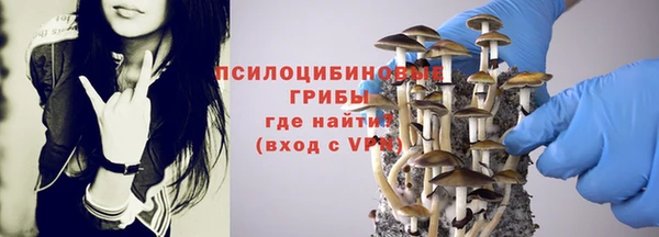 метадон Беломорск
